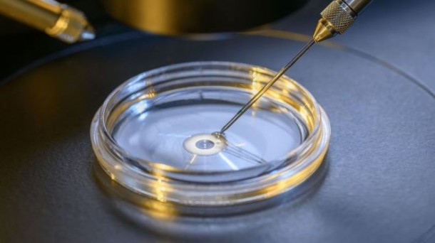 Операция на ДНК эмбриона устраняет болезнь